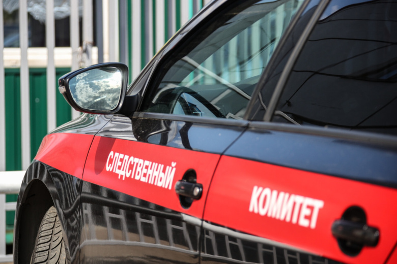 Бабушка наткнулась на труп дочери и двоих внучек в квартире Ульяновска