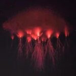 “Идеальное совпадение”: редкая красная молния запечатлена на фоне Млечного Пути