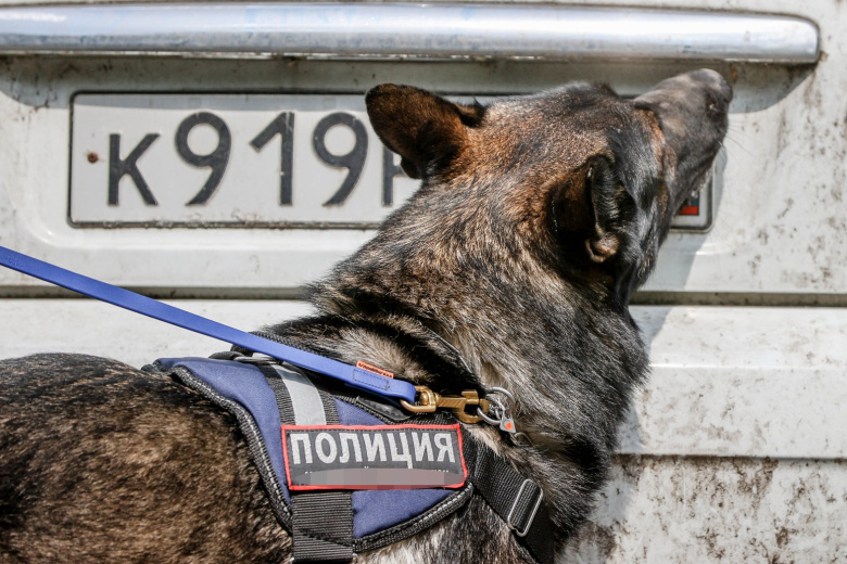 Mercedes в крови: на Урале четыре дня не могут найти торговца шашлыками