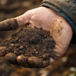 Облили бензином и подожгли: в Дагестане казнили убийцу двух девочек