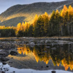 Съели волки или убили браконьеры? Что случилось с семьей Усольцевых в тайге