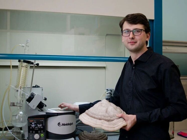 Экстракт из древесных грибов стимулирует рост пшеницы, выяснили ученые