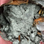 Контакт с внеземным веществом установлен: метеорит пробил крышу дома в Новгородской области, пока хозяева спали