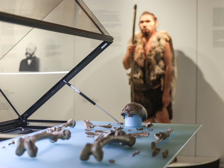 Новое исследование: неандертальцы и древние люди наверняка целовались