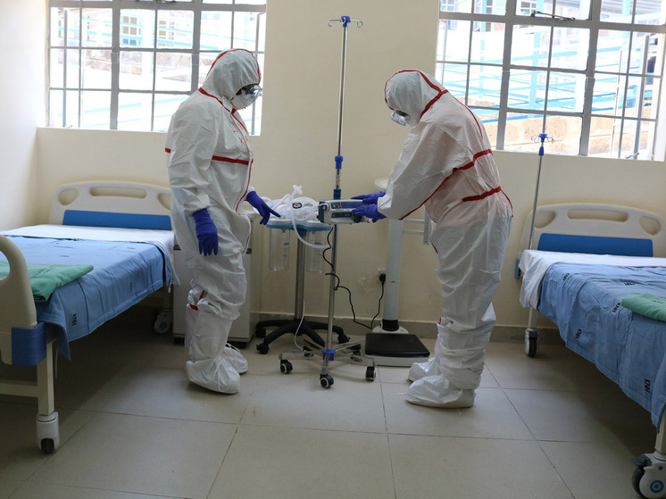 От лихорадки денге до «болезни X»: ученые начали охоту за следующей мировой пандемией