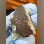 Похож на застывший цемент: поисковики ГЕОХИ РАН рассказали, как нашли  метеорит, упавший 27 октября