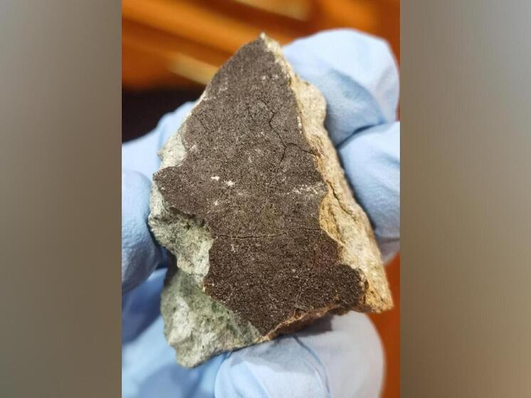 Похож на застывший цемент: поисковики ГЕОХИ РАН рассказали, как нашли  метеорит, упавший 27 октября