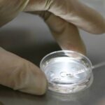 С годами мозг человека местами расширяется: выводы ученых