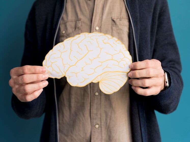 Ученые открыли реальный способ обратить вспять старение мозга