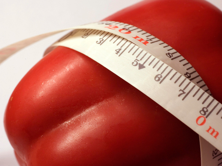 Ученые раскрыли шокирующую правду о диетах и потере веса: «нас так запрограммировали»