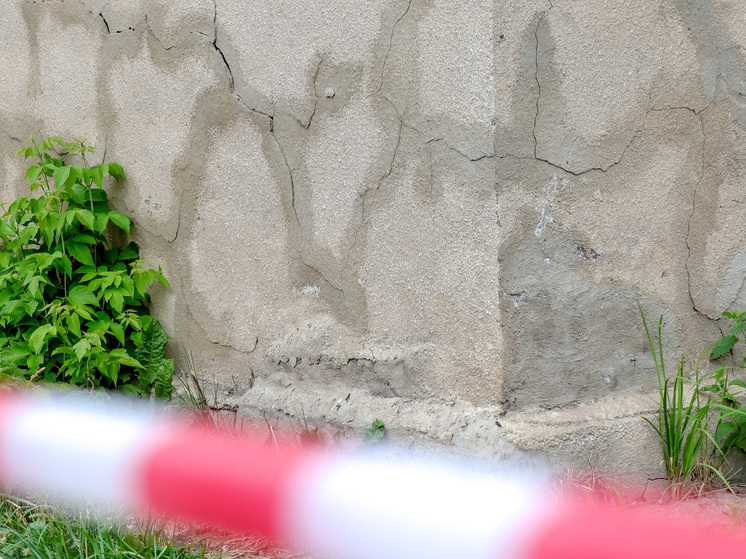 Следы динозавров возрастом около 200 млн лет обнаружили в Китае