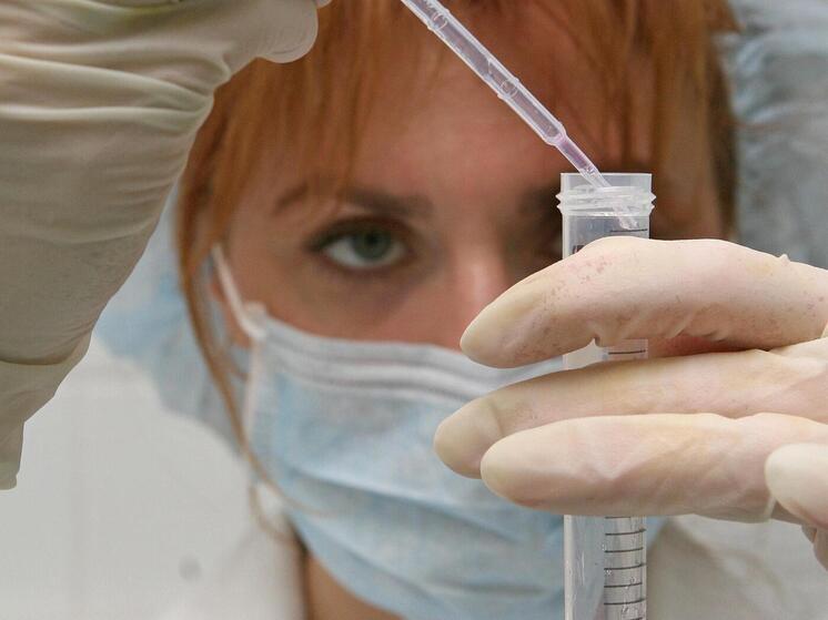 В Баренцевом море найден новый микроорганизм, питающийся пластиком