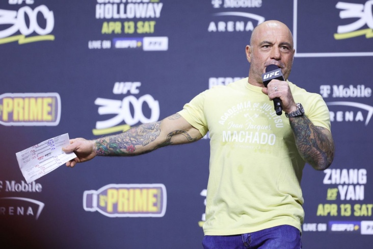 Джо Роган назвал «преступлением» остановку в бою Аспиналл — Ган