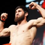 «Тебя просто вырубили, не оправдывайся». Анкалаев обратился к Прохазке