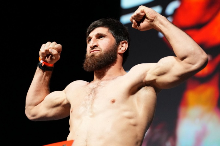 «Тебя просто вырубили, не оправдывайся». Анкалаев обратился к Прохазке