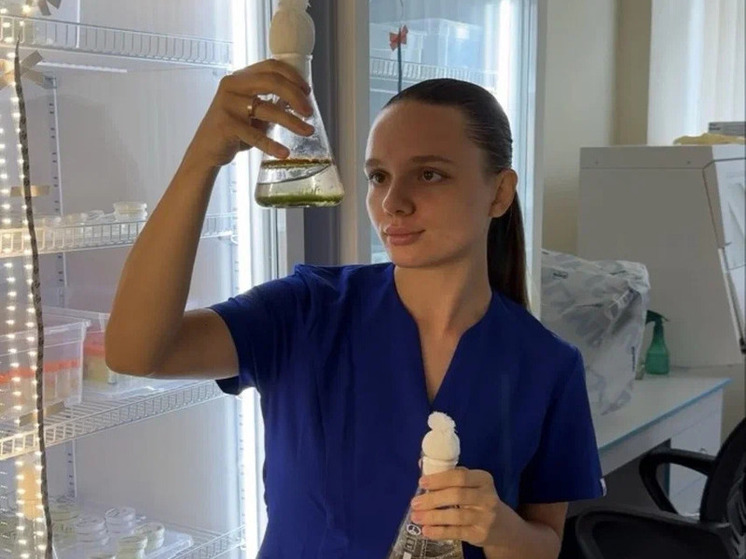 Токсичные штаммы цианобактерий найдены в московских прудах