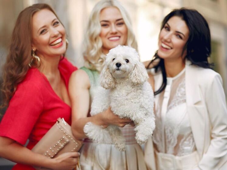 Общение с собаками оказывает на женщин удивительное омолаживающее действие