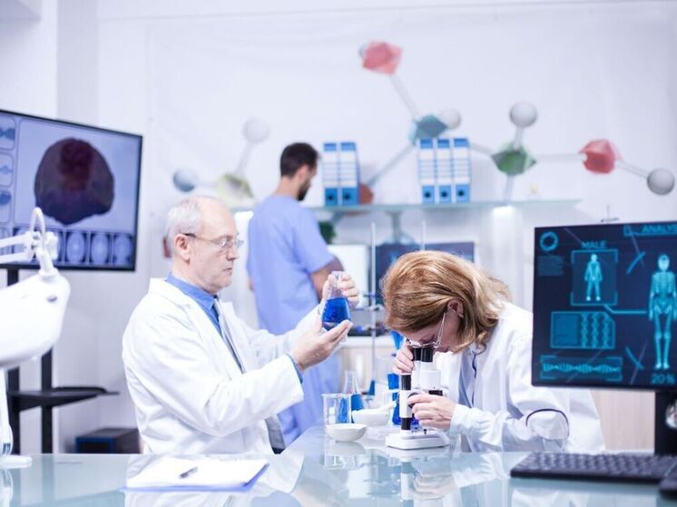 Выявлена прямая связь между уровнем доходного неравенства в регионе и структурными изменениями мозга у детей 9–10 лет