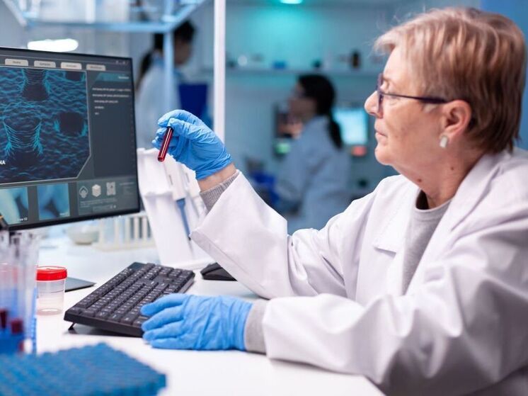 Масштабное исследование выявило, что старение мозга меняет его геометрию